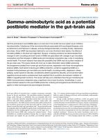 Gamma-aminobutyric acid as a potential postbiotic mediator in the gut–brain axis