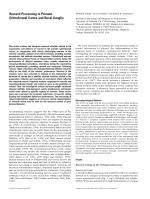 Reward Processing in Primate Orbitofrontal Cortex and Basal Ganglia
