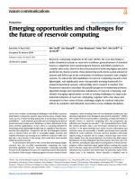 Emerging opportunities and challenges for the future of reservoir computing