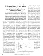 Evolutionary Rate in the Protein Interaction Network