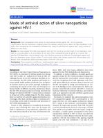 Mode of antiviral action of silver nanoparticles against HIV-1