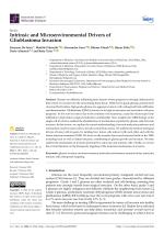 Intrinsic and Microenvironmental Drivers of Glioblastoma Invasion
