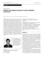 Molecular and biological properties of vascular endothelial growth factor