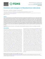 Evolution and emergence of Mycobacterium tuberculosis