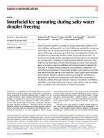 Interfacial ice sprouting during salty water droplet freezing