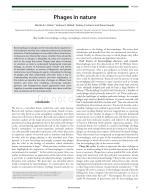 Phages in nature