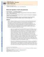 Molecular regulation of stem cell quiescence