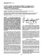 A tumor suppressor-dependent inhibitor of angiogenesis is immunologically and functionally indistinguishable from a fragment of thrombospondin