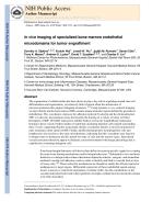 In vivo imaging of specialized bone marrow endothelial microdomains for tumor engraftment