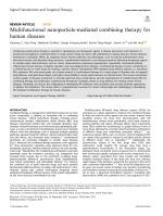 Multifunctional nanoparticle-mediated combining therapy for human diseases
