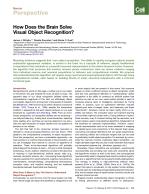 How Does the Brain Solve Visual Object Recognition?