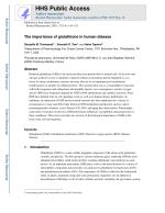 The importance of glutathione in human disease