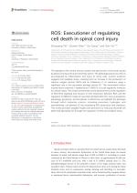 ROS: Executioner of regulating cell death in spinal cord injury