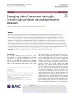 Emerging role of senescent microglia in brain aging-related neurodegenerative diseases