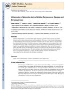 Inflammatory Networks during Cellular Senescence: Causes and Consequences