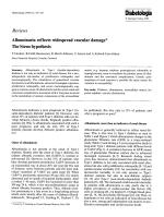 Albuminuria reflects widespread vascular damage* The Steno hypothesis
