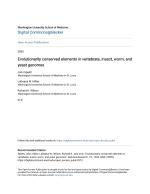 Evolutionarily conserved elements in vertebrate, insect, worm, and yeast genomes