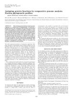 Assigning protein functions by comparative genome analysis: Protein phylogenetic profiles