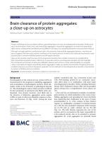 Brain clearance of protein aggregates: a close-up on astrocytes