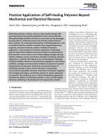 Practical Applications of Self-Healing Polymers Beyond Mechanical and Electrical Recovery