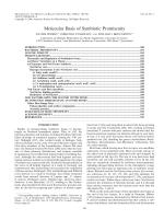Molecular Basis of Symbiotic Promiscuity