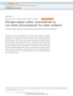 Nitrogen-doped carbon nanomaterials as non-metal electrocatalysts for water oxidation