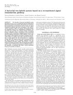 A bacterial two-hybrid system based on a reconstituted signal transduction pathway
