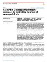 Gasdermin E dictates inflammatory responses by controlling the mode of neutrophil death