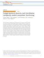 Fungal-bacterial diversity and microbiome complexity predict ecosystem functioning