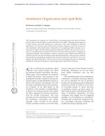 Membrane Organization and Lipid Rafts