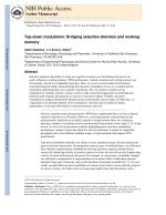 Top-down modulation: Bridging selective attention and working memory