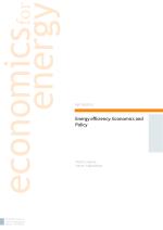 Energy efficiency: Economics and Policy