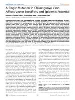 A Single Mutation in Chikungunya Virus Affects Vector Specificity and Epidemic Potential