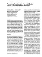Recovering Meaning: Left Prefrontal Cortex Guides Controlled Semantic Retrieval