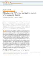 Mitochondrial TCA cycle metabolites control physiology and disease