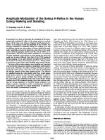Amplitude Modulation of the Soleus H-Reflex in the Human During Walking and Standing