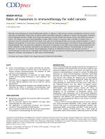 Roles of exosomes in immunotherapy for solid cancers