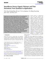 Nanofibrous Porous Organic Polymers and Their Derivatives: From Synthesis to Applications