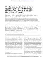 The histone modification pattern of active genes revealed through genome-wide chromatin analysis of a higher eukaryote