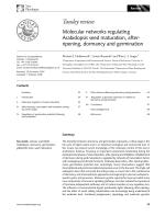 Molecular networks regulating Arabidopsis seed maturation, after-ripening, dormancy and germination