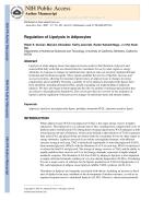 Regulation of Lipolysis in Adipocytes