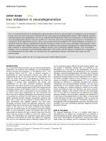 Iron imbalance in neurodegeneration