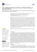 Use of Medicinal Plants in the Process of Wound Healing: A Literature Review