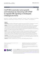 CircPCNXL2 promotes tumor growth and metastasis by interacting with STRAP to regulate ERK signaling in intrahepatic cholangiocarcinoma