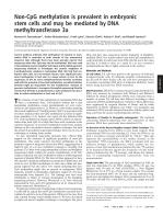 Non-CpG methylation is prevalent in embryonic stem cells and may be mediated by DNA methyltransferase 3a