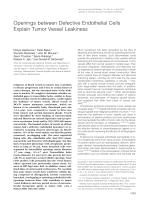 Openings between Defective Endothelial Cells Explain Tumor Vessel Leakiness