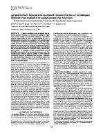 Agrobacterium tumefaciens-mediated transformation of Arabidopsis thaliana root explants by using kanamycin selection