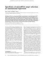 Specificity of microRNA target selection in translational repression