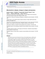 Mitochondria in disease: changes in shapes and dynamics