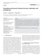 Emerging coronaviruses: Genome structure, replication, and pathogenesis